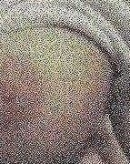 Breckie Hill New Onlyfans Nude Compilation