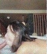 Veronica Perasso Live Onlyfans Sextape