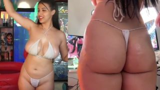 Strawberrytabby Tabbys Dog pulled down her Top on Twitch