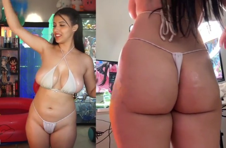 Strawberrytabby Tabbys Dog pulled down her Top on Twitch