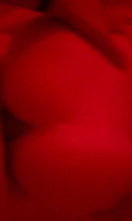 Sophieraiin with Lacy Lotus hot video