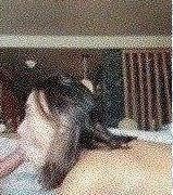 Veronica Perasso Live Onlyfans Sextape